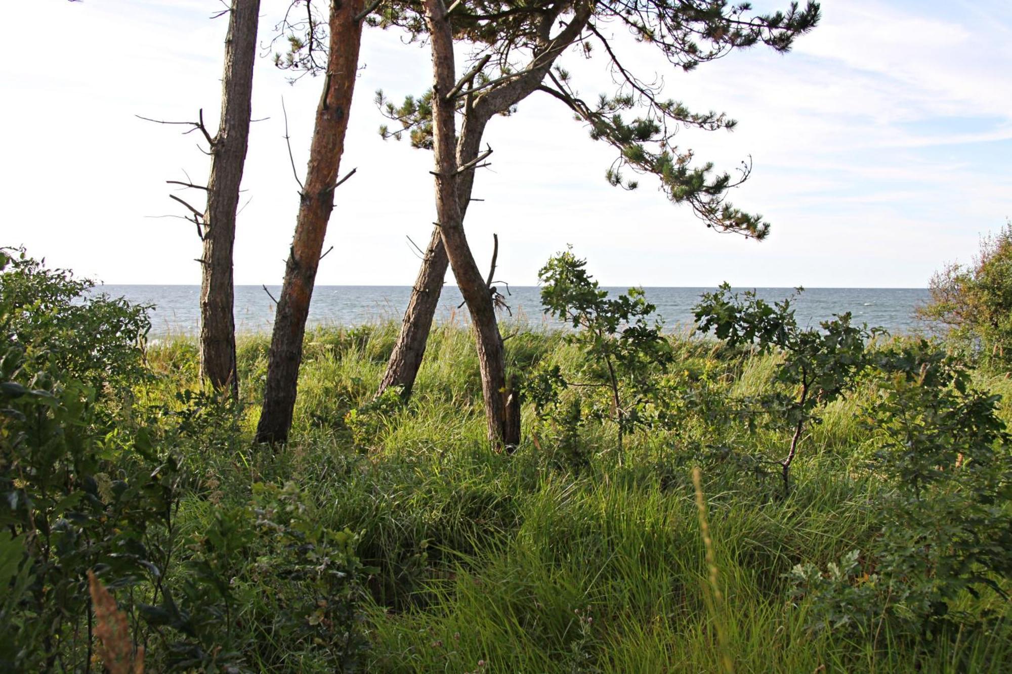 Let'S Sea - 2 Bedroom - Premium Baltic Apartment With Front Sea View Garden And Spa Access Gaski  Exterior photo
