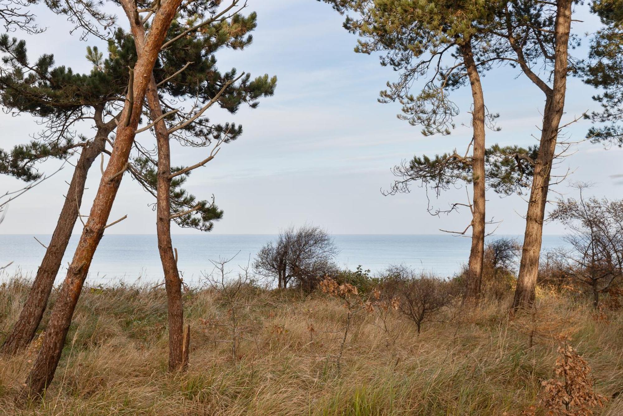 Let'S Sea - 2 Bedroom - Premium Baltic Apartment With Front Sea View Garden And Spa Access Gaski  Exterior photo